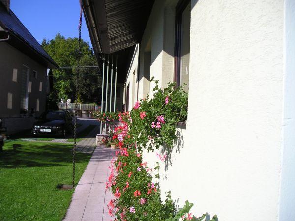 טרצ'ובה Homestay Gustav Halas מראה חיצוני תמונה